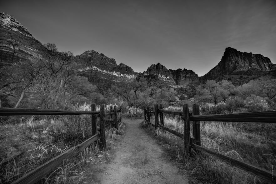 Ultimate Guide to Black and White Photography
