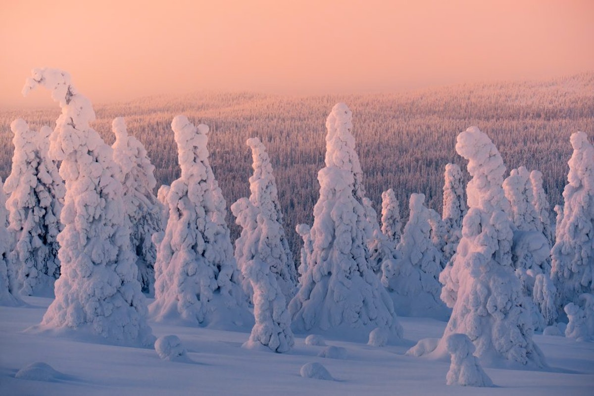 Finnish Lapland