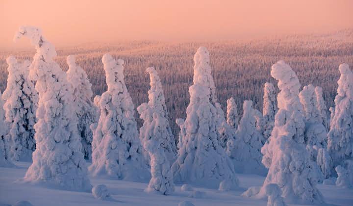 7 Day Finnish Lapland Photo Tour