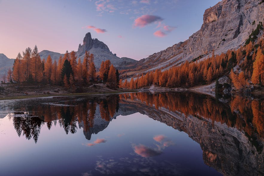 11 Tips for Amazing Autumn Photography