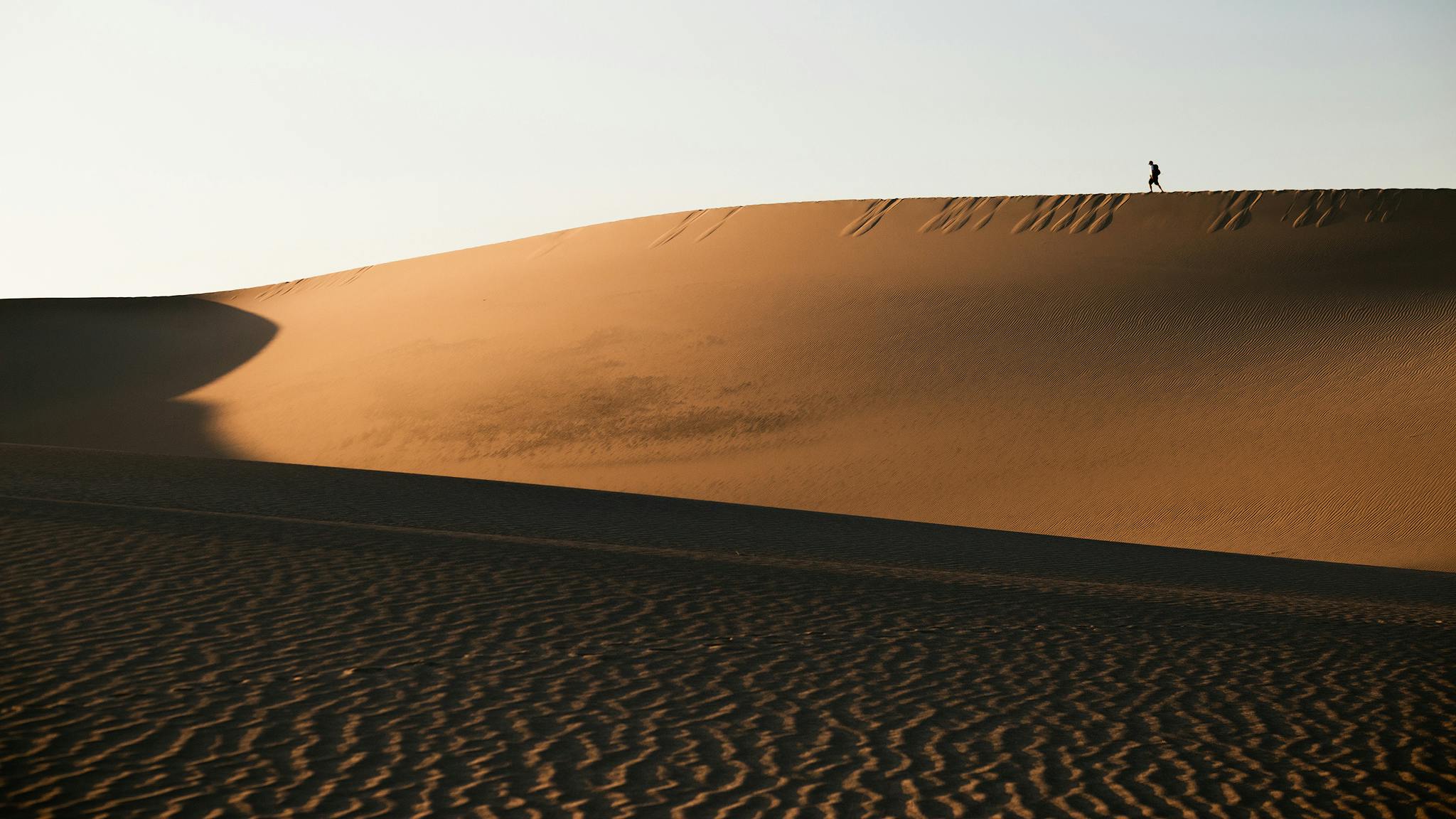  Guía Definitiva de Fotografía del Desierto