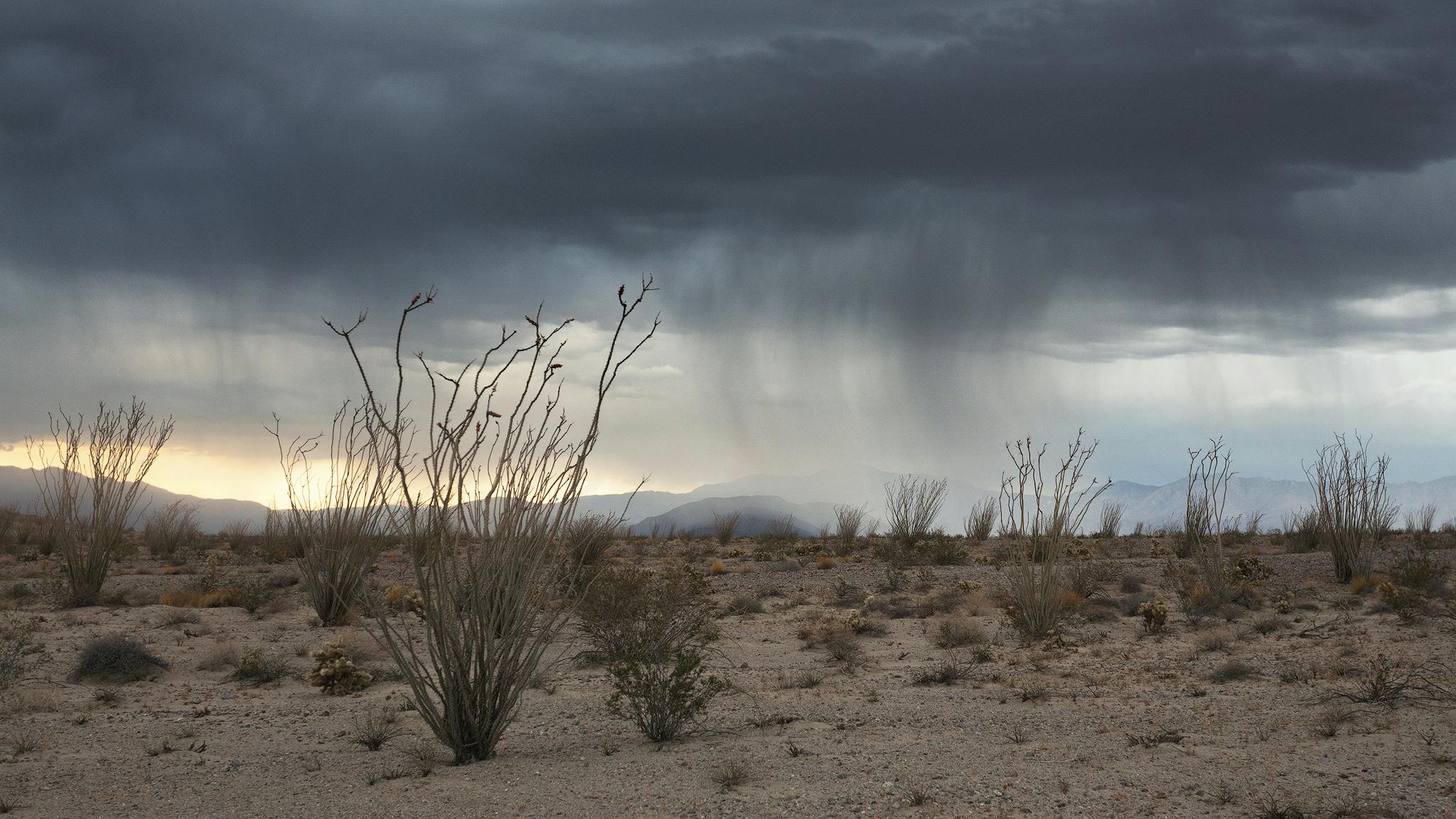 Guía definitiva para la fotografía del desierto