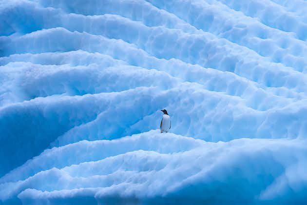 Antarctica Fly/Sail Photography Expedition 20 February to 3 March 2025