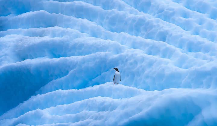 Antarctica Fly/Sail Photography Expedition 20 February to 3 March 2025