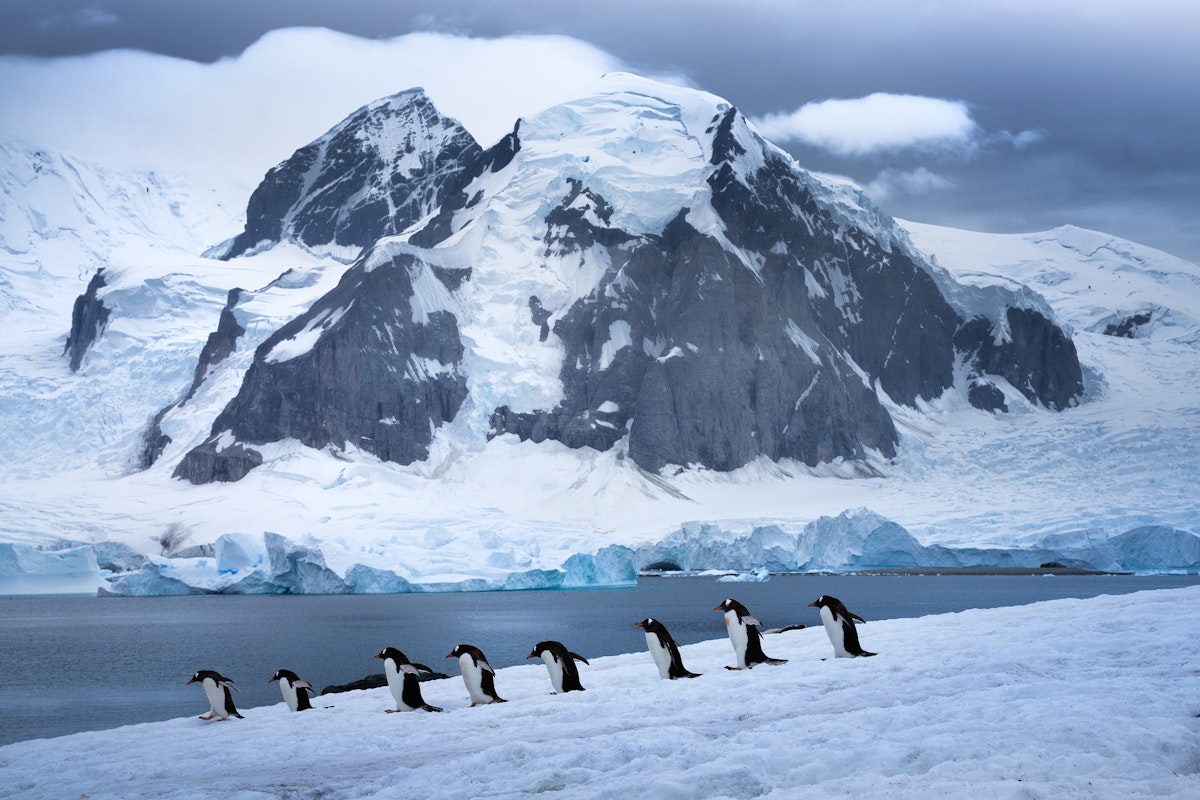 Antarctica Photography Expedition 2022 with Daniel Kordan...