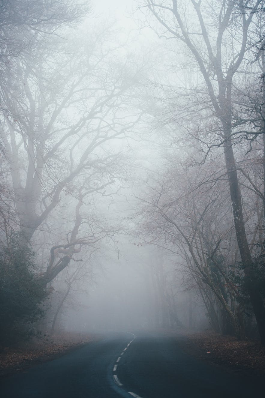 How to Improve Your Fog Photography
