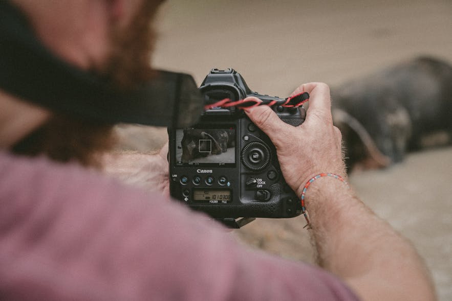 The Beginner's Guide to Videography