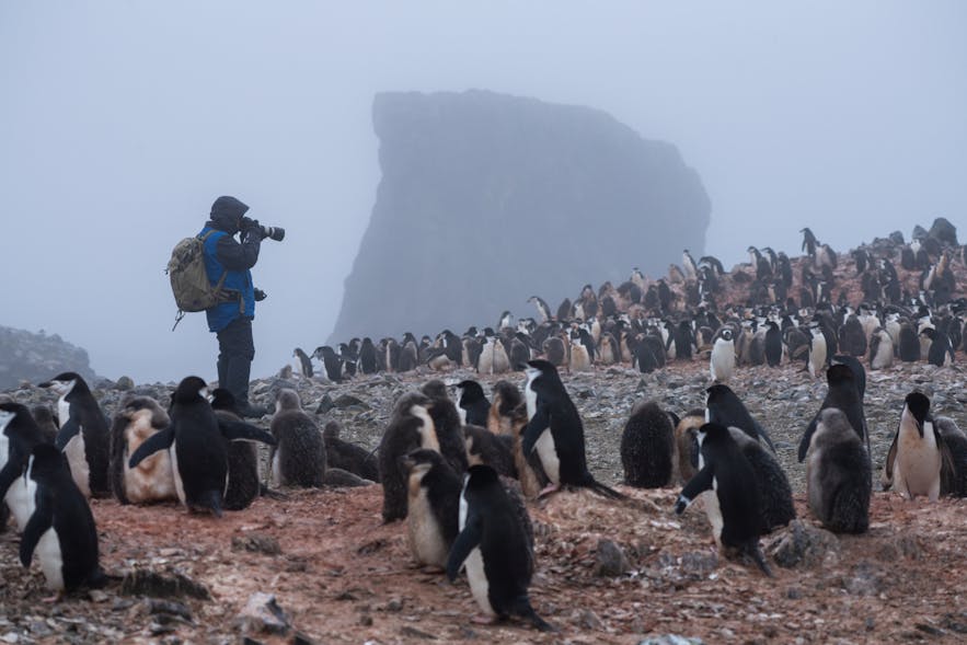 An Unforgettable Trip to Antarctica with Iceland Photo Tours