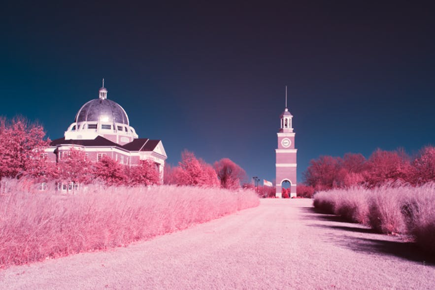 Beginner's Guide to Infrared Photography