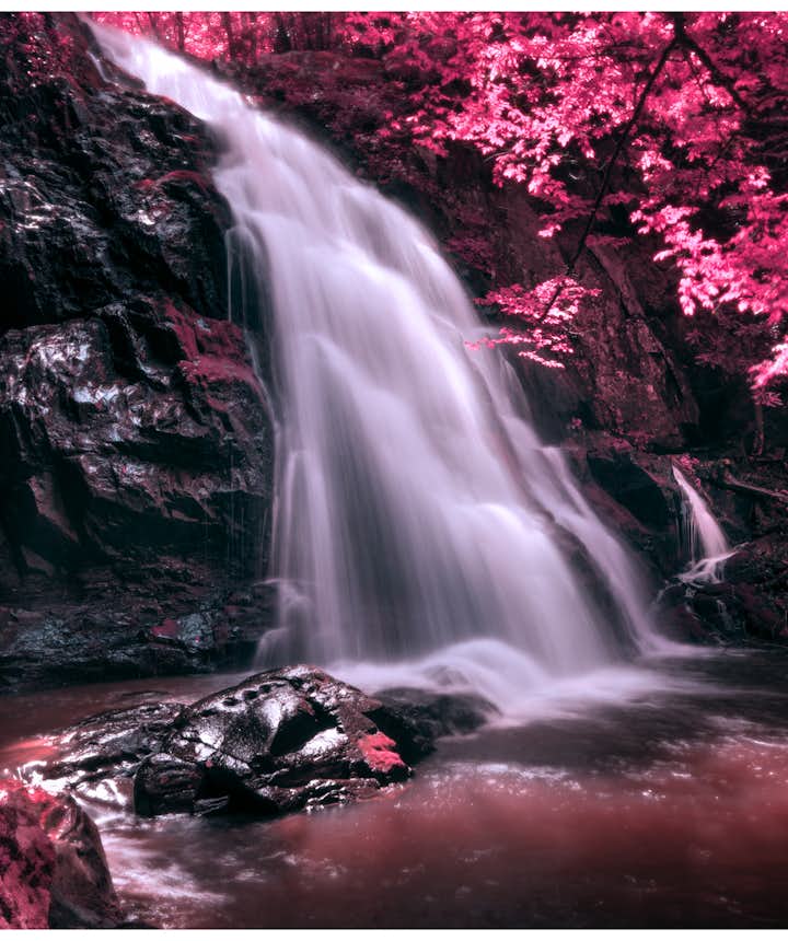 Beginner's Guide to Infrared Photography