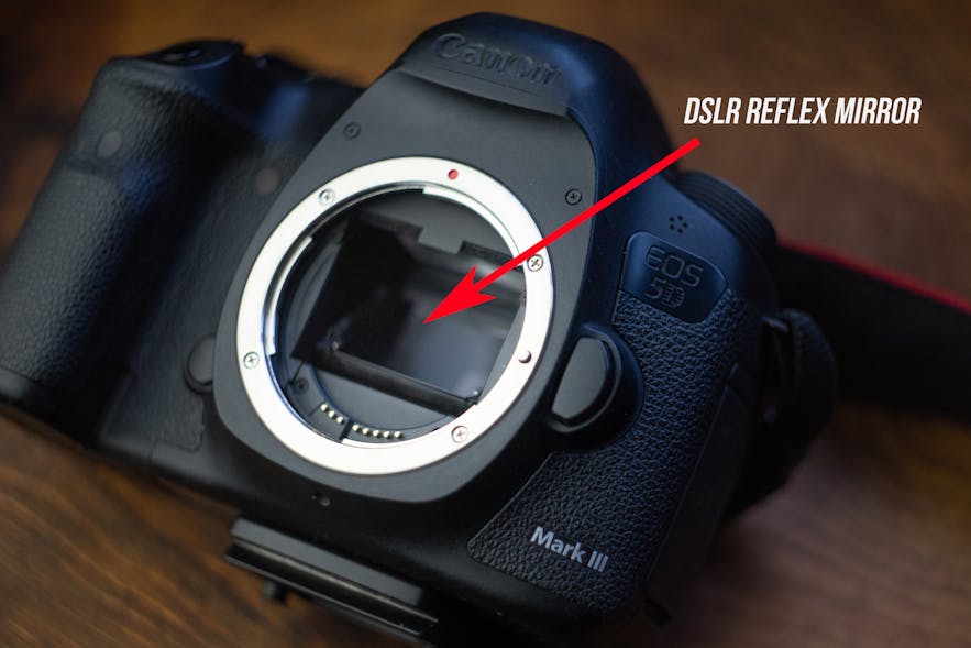 What is a DSLR Camera? Everything You Need to Know