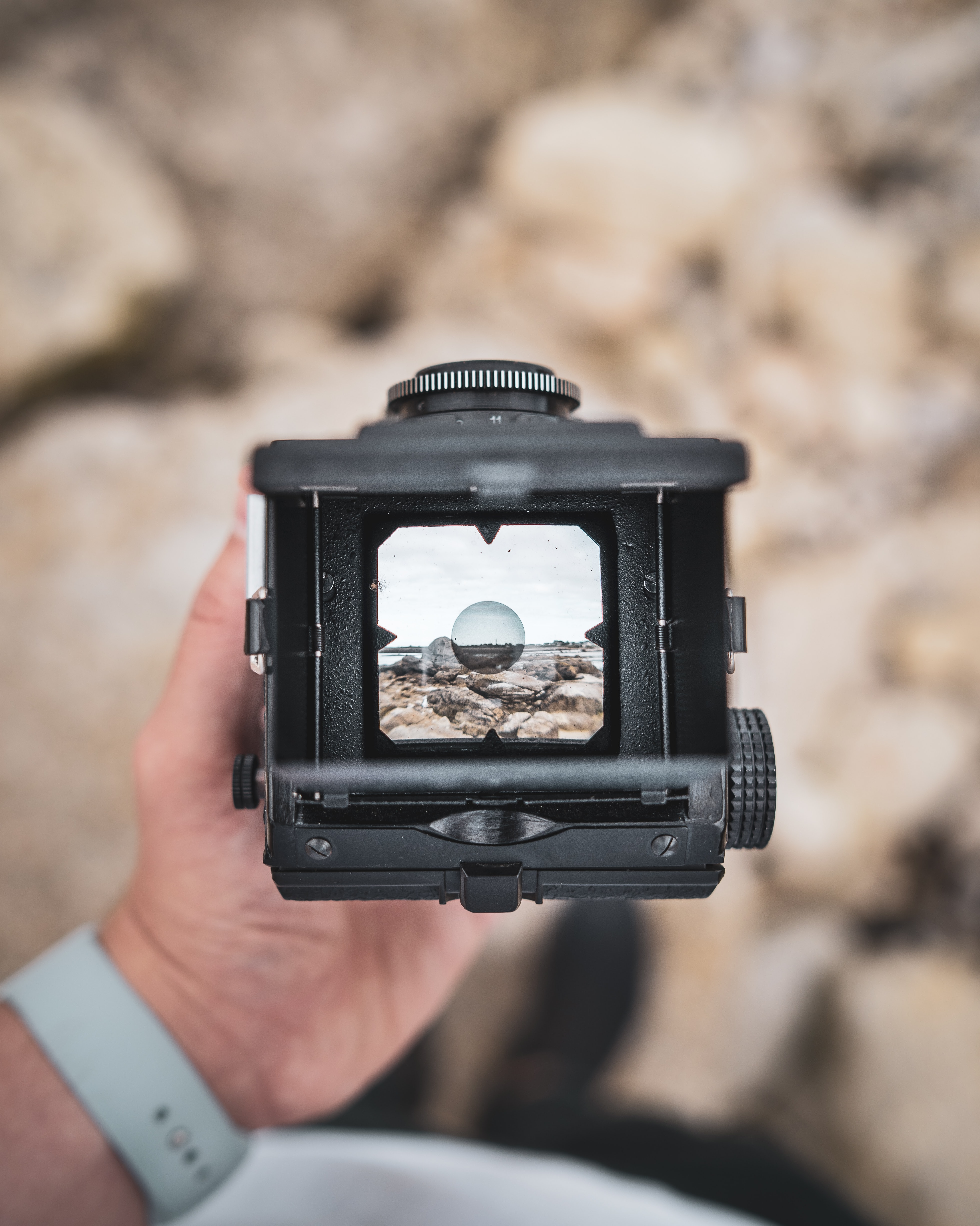 beginner-s-guide-to-medium-format-photography