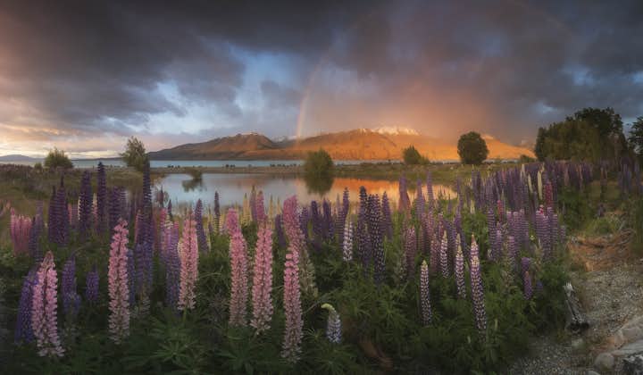 12 Day South Island New Zealand Photography Workshop