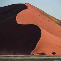 Namibia Photo Tour with Daniel Kordan