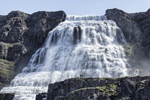 Dynjandi Waterfall & Farm Tour from Isafjordur Port