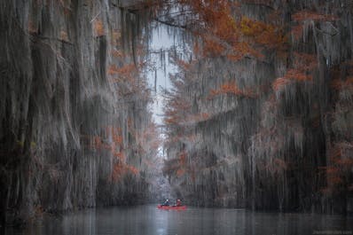 Cypress Swamps Photography Workshop - day 1