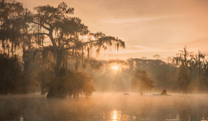 Cypress Swamps Photography Workshop