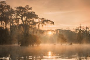 Cypress Swamps Photography Workshop