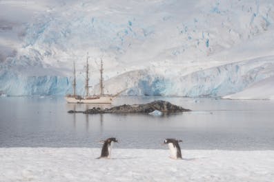 Red Sails in Antarctica Photography Expedition with Daniel Kordan - day 5