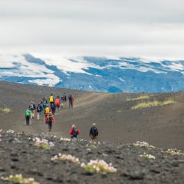 Hikers on the Laugavegur trail walk amid a desolate landscape with stunning, contrasting mountain views ahead.